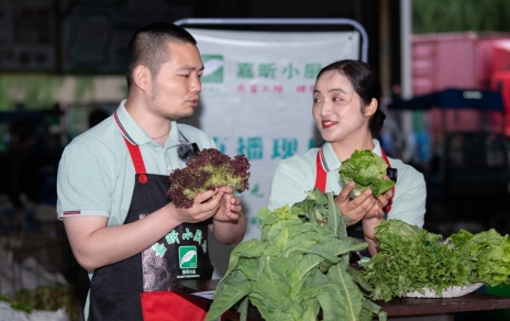 千金如玉，一口清心--生菜?油麥菜?萵筍直播專場